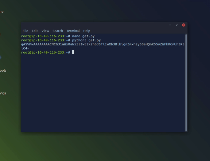 Using Exploit Python script